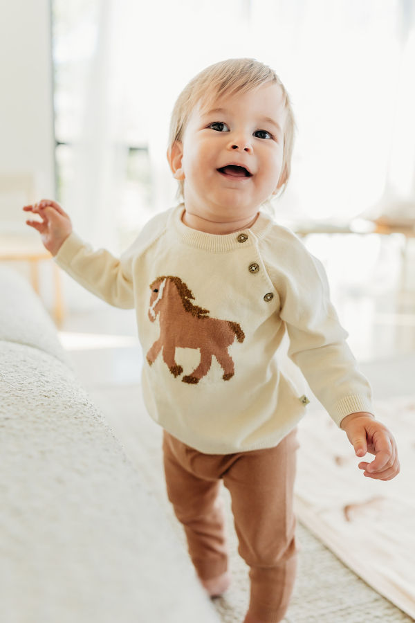 Viverano Organics Horse Jacquard Knit Sweater