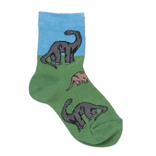Load image into Gallery viewer, Jefferies Socks Dinosaur Crew Socks