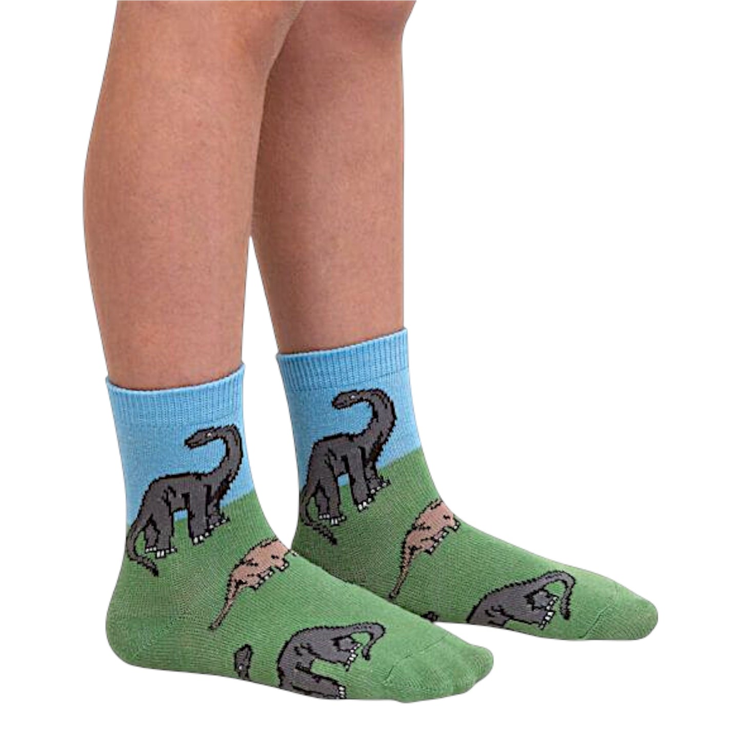 Jefferies Socks Dinosaur Crew Socks