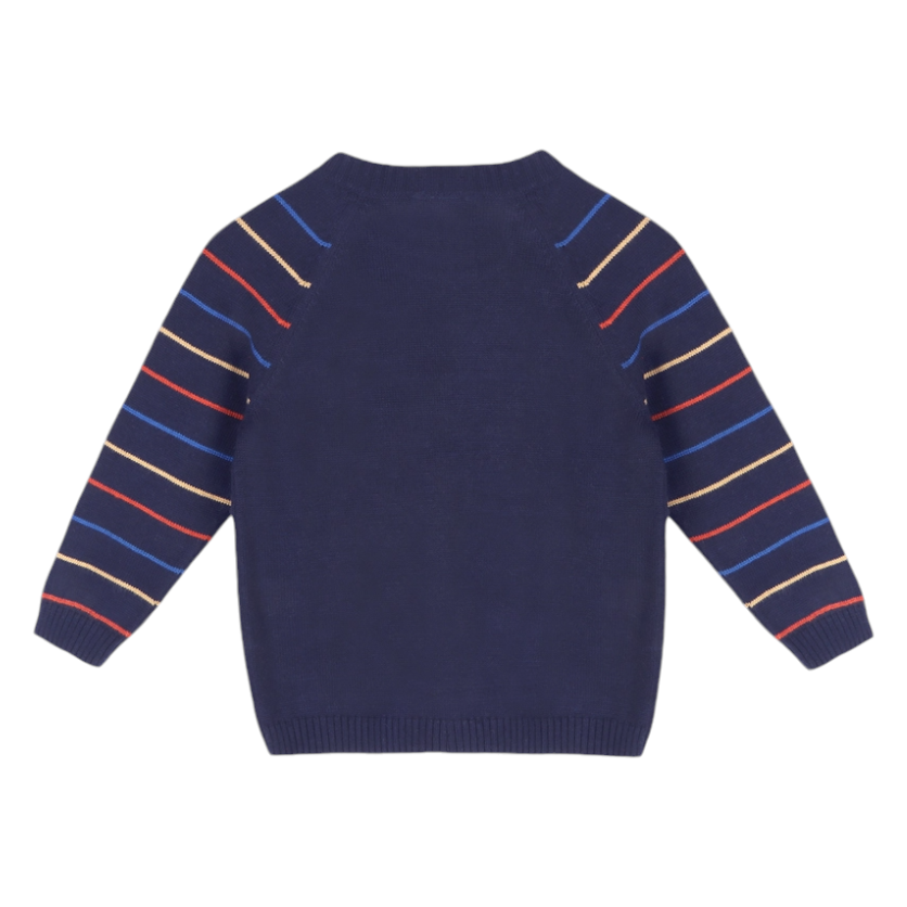 Viverano Organics Train Jacquard Knit Raglan Pullover Sweater