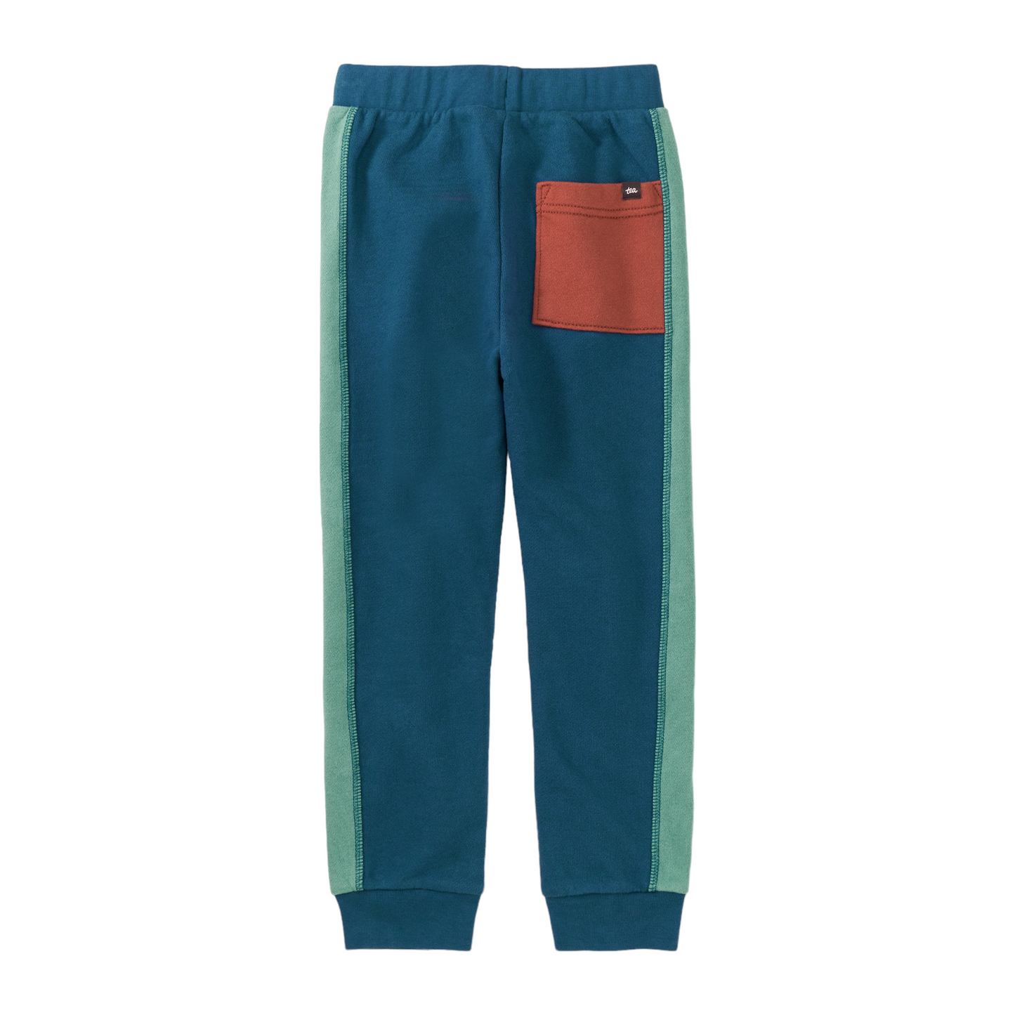 Tea Colorblock Stripe-Out Jogger