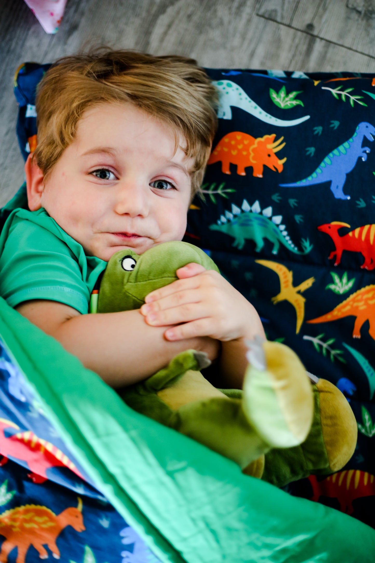 Wildkin Jurassic Dinosaurs Original Nap Mat
