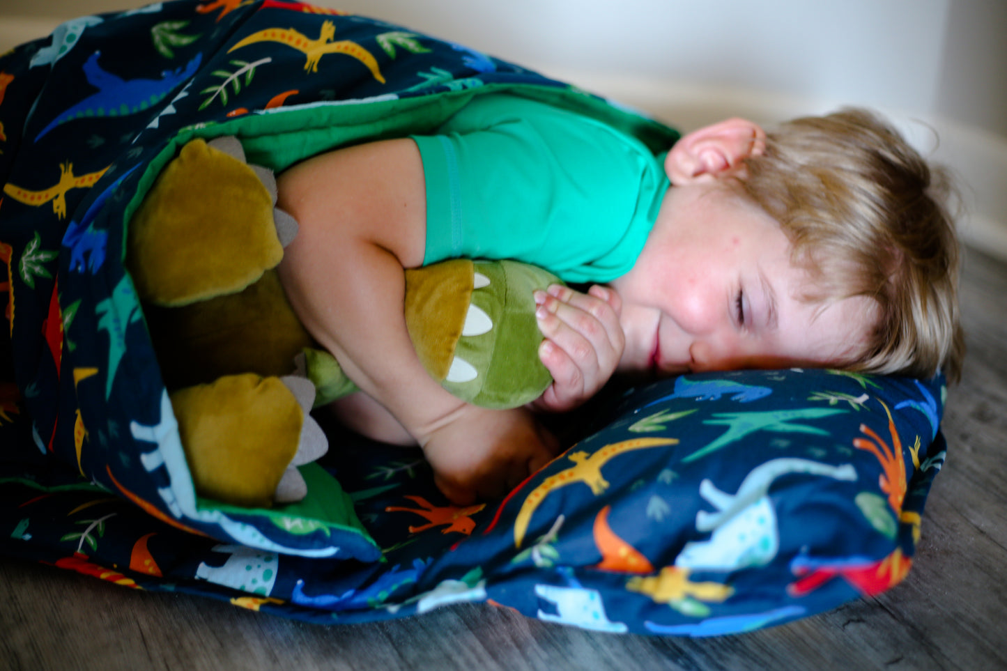 Wildkin Jurassic Dinosaurs Original Nap Mat