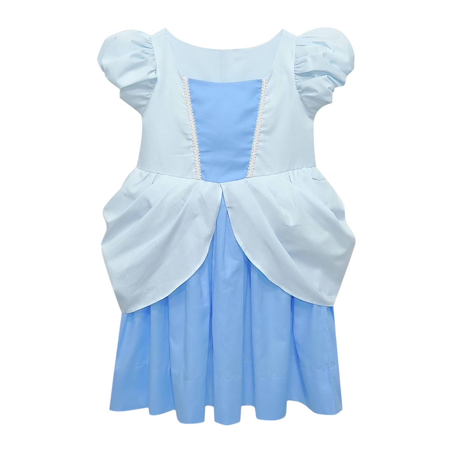 Remember Nguyen Cinderella Dress