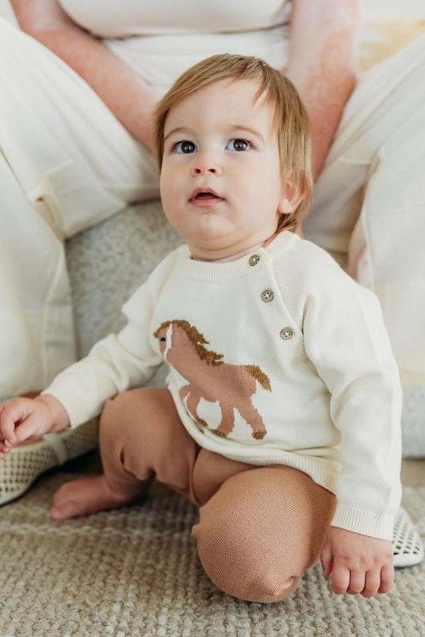 Viverano Organics Horse Jacquard Knit Sweater