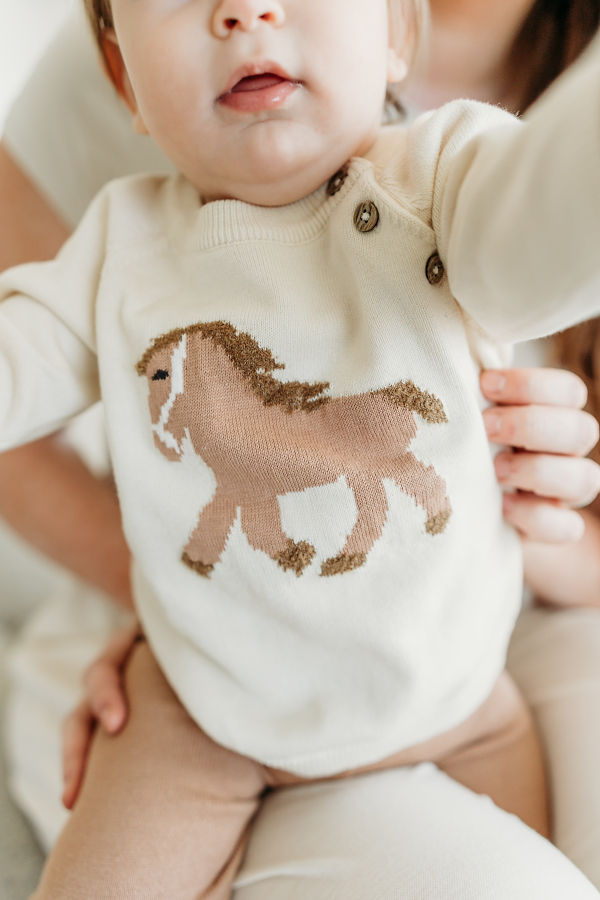 Viverano Organics Horse Jacquard Knit Sweater