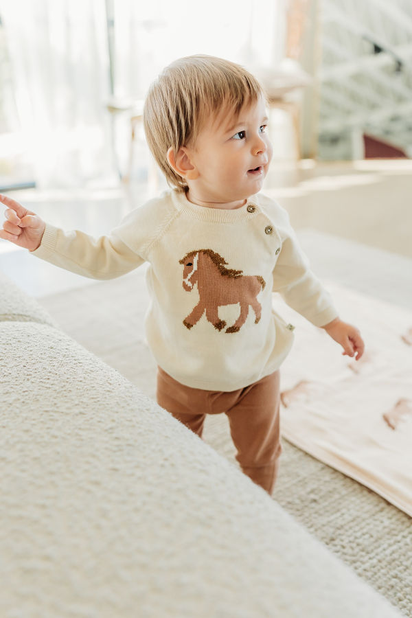 Viverano Organics Horse Jacquard Knit Sweater