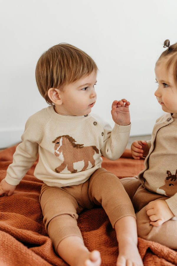 Viverano Organics Horse Jacquard Knit Sweater