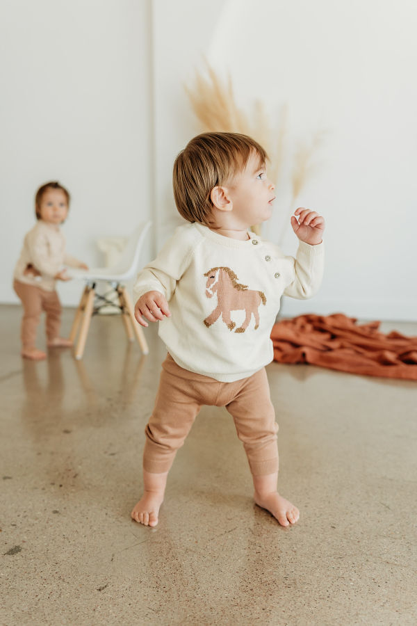 Viverano Organics Horse Jacquard Knit Sweater
