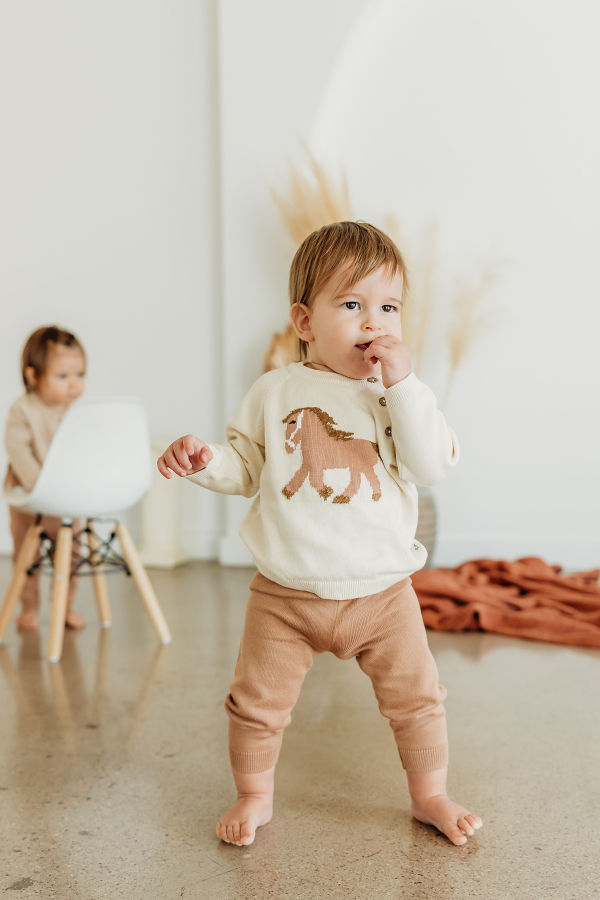 Viverano Organics Horse Jacquard Knit Sweater