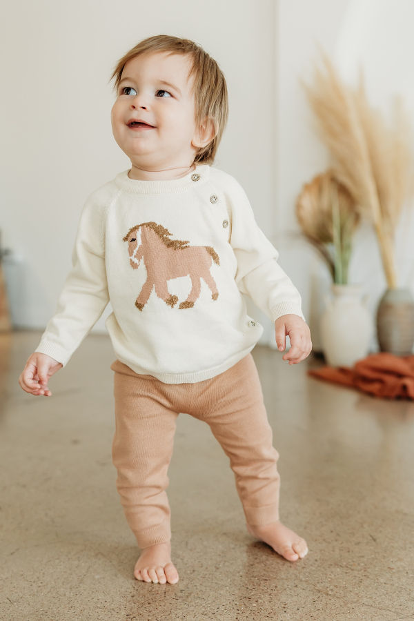 Viverano Organics Horse Jacquard Knit Sweater
