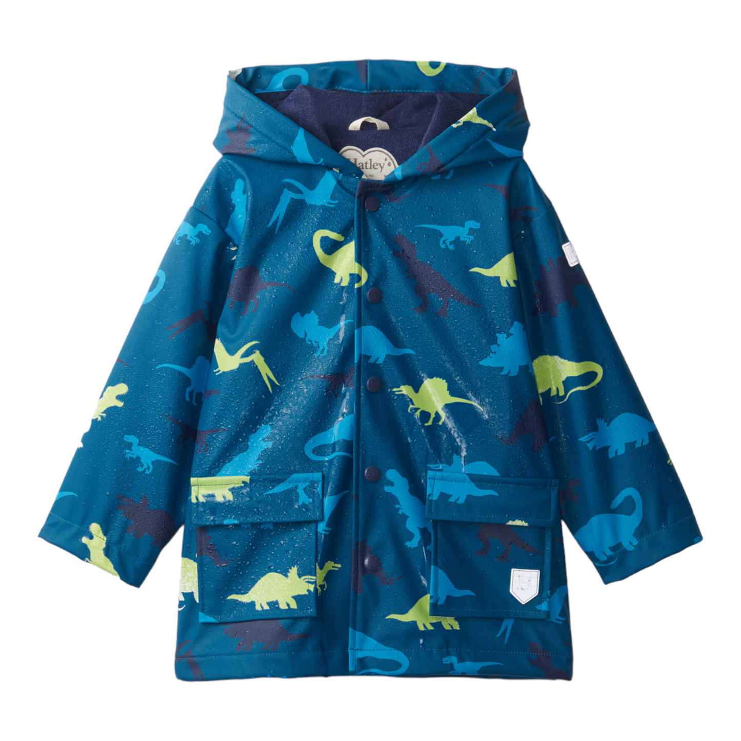 Hatley Real Dinos Color Changing Raincoat