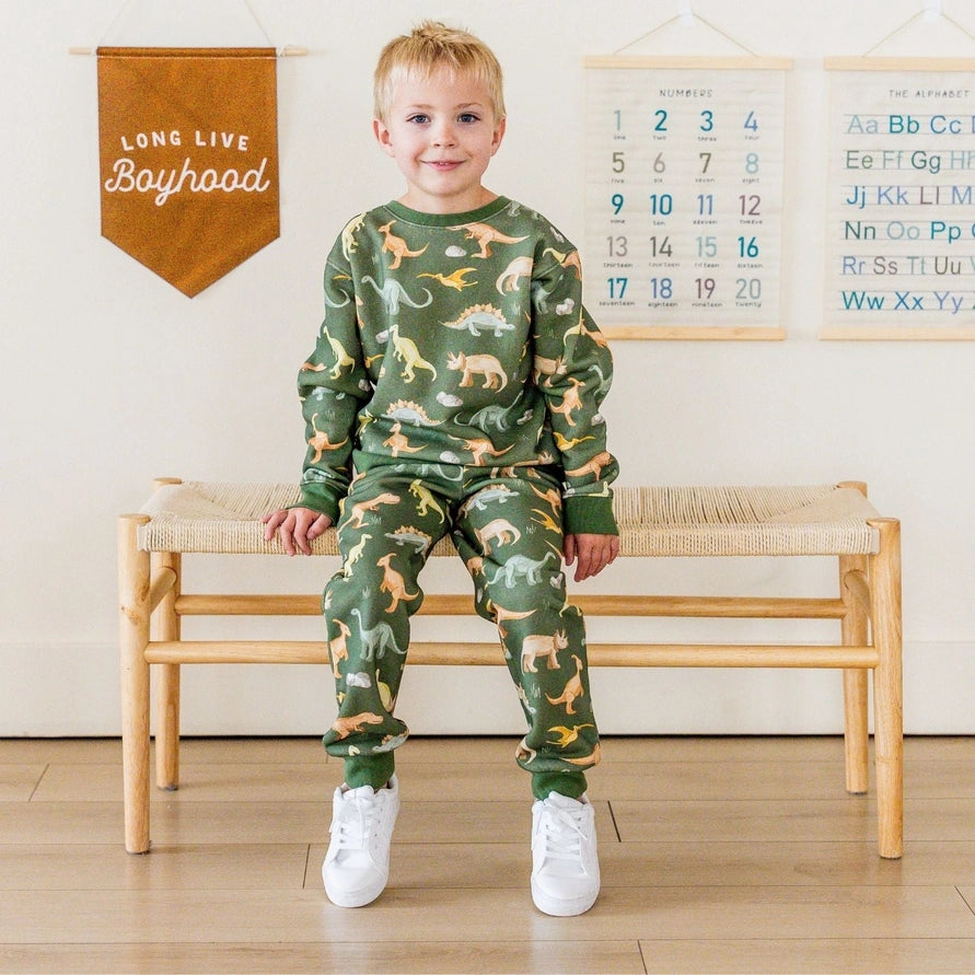 Sweet Wink Dinosaurs Rock Jogger
