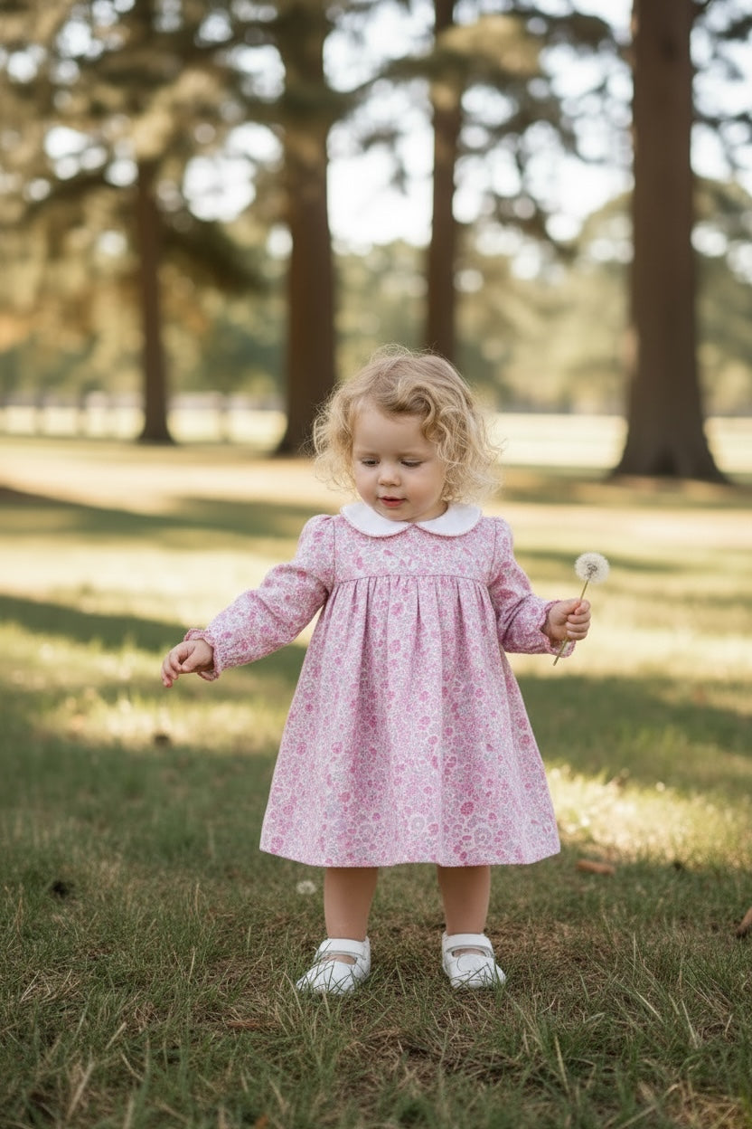 Sage And Lily Floral Peter Pan Dress